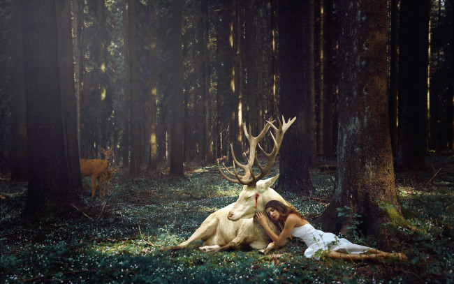 Обои картинки фото разное, компьютерный дизайн, лес, олень, девушка