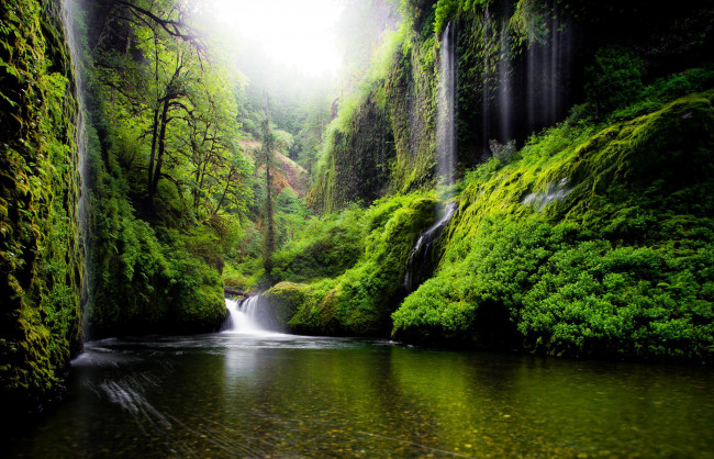 Обои картинки фото природа, водопады, сша, деревья, вода, река, штат, орегон, весна, зелень, листья