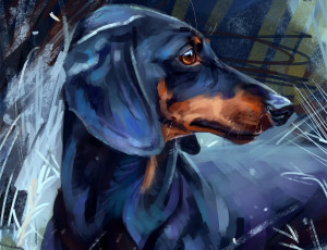 Картинка рисованное животные +собаки такса