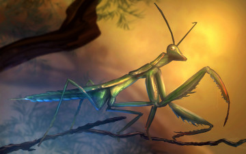 Картинка рисованное животные +насекомые ветка богомол