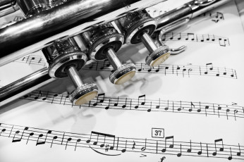 Картинка музыка -музыкальные+инструменты труба ноты