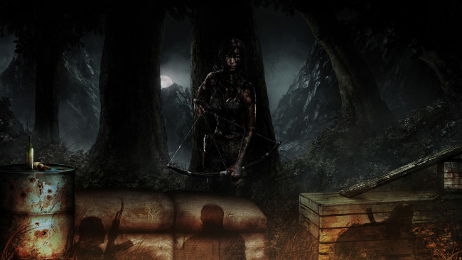 Обои картинки фото видео игры, tomb raider , other, фон, девушка, лук, тень