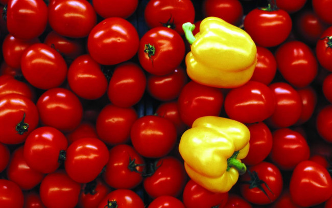 Обои картинки фото еда, овощи, перец, томаты, помидоры