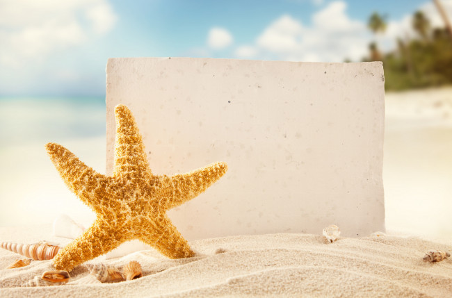 Обои картинки фото разное, ракушки,  кораллы,  декоративные и spa-камни, shells, sand, tropics, sea, beach, starfish, морская, звезда, море, тропики, песок, пляж