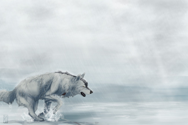 Обои картинки фото рисованные, животные,  волки, дождь, усталость, бежит, волк