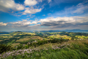 Картинка природа пейзажи горы долина трава цветы