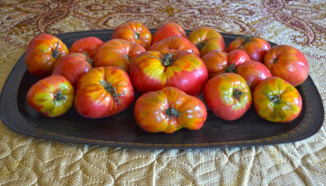 Картинка еда помидоры урожай томаты