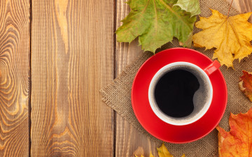 Картинка еда кофе +кофейные+зёрна cup maple coffee осенние листья leaves fall autumn осень чашка клён
