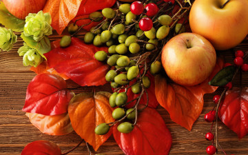 обоя еда, Яблоки, autumn, leaves, berries, still, life, harvest, fruit, apples, натюрморт, яблоки, листья, осень