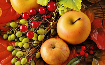 Картинка еда Яблоки autumn leaves berries still life harvest fruit apples натюрморт яблоки листья осень