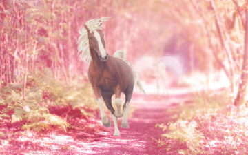 Картинка разное компьютерный+дизайн природа пегас лошади