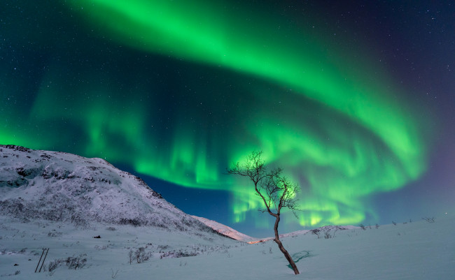 Обои картинки фото природа, северное сияние, небо, звезды, ночь, сияние, горы, снег, дерево, зима