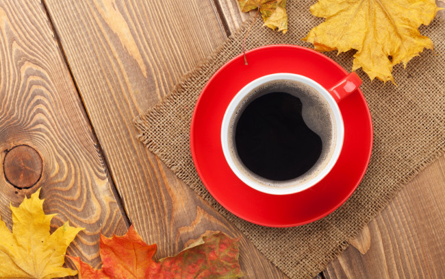 Обои картинки фото еда, кофе,  кофейные зёрна, осенние, листья, осень, чашка, клён, autumn, coffee, cup, maple, leaves, fall