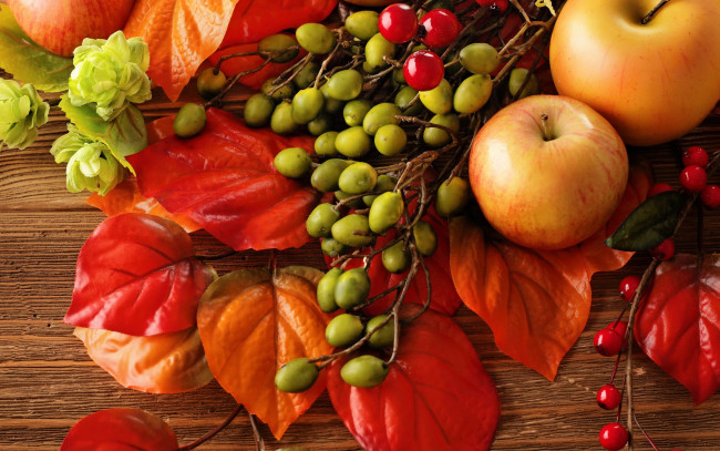 Обои картинки фото еда, Яблоки, autumn, leaves, berries, still, life, harvest, fruit, apples, натюрморт, яблоки, листья, осень