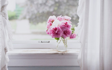 Картинка цветы розы окно занавески букет
