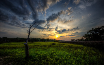 Картинка природа восходы закаты пейзаж дерево поле закат