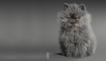 Картинка 3д+графика животные+ animals пушистик котёнок арт малыш кошка