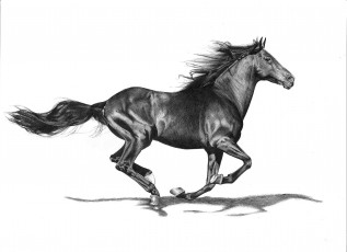 Картинка рисованное животные +лошади лошадь галоп