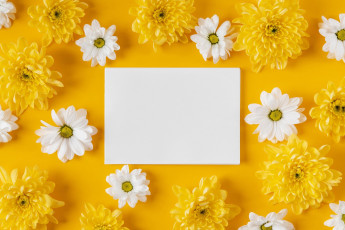 Картинка цветы хризантемы записка белые желтые