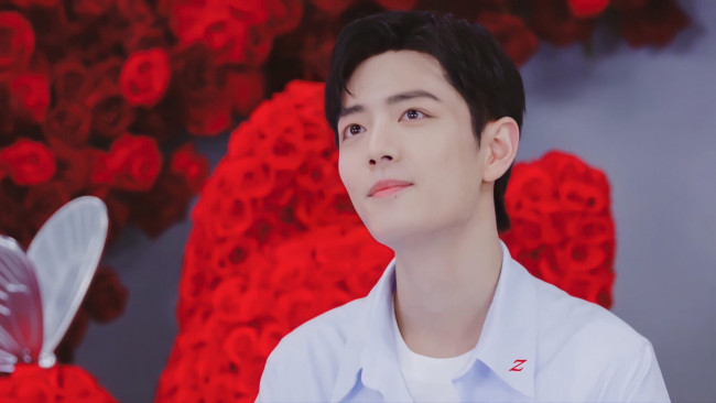 Обои картинки фото мужчины, xiao zhan, актер, розы, бабочка, презентация