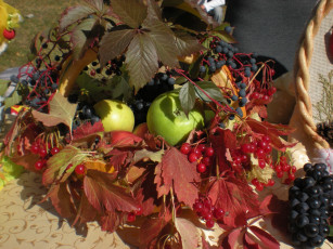 Картинка еда фрукты ягоды калина яблоки виноград листья