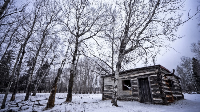 Обои картинки фото разное, развалины, руины, металлолом, зима, деревья, дом