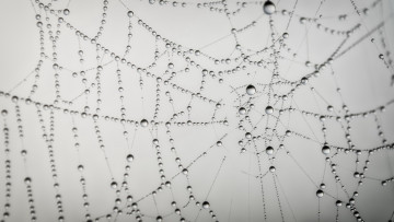Картинка разное капли брызги всплески паутина