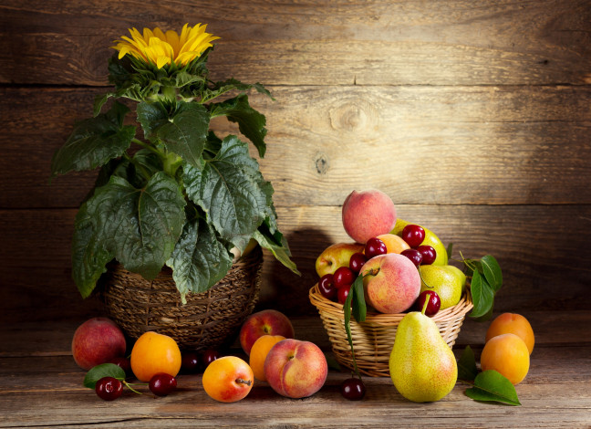Обои картинки фото еда, фрукты,  ягоды, цветок, черешня, корзинка, персик, груша, абрикос