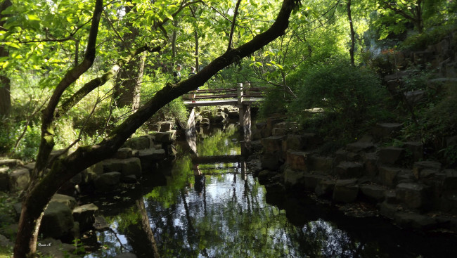 Обои картинки фото природа, парк, водоем, деревья, мостик, камни