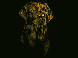 Картинка рисованное животные +собаки черный фон