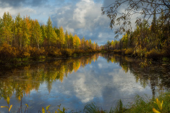 Картинка природа реки озера отражение трава деревья кусты озеро вода облака ветки осень лес