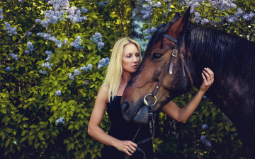 Картинка девушки -unsort+ блондинки +светловолосые лошадь листва платье сирень девушка портрет сад блондинка в черном кусты