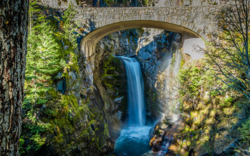 Картинка природа водопады мост водопад деревья