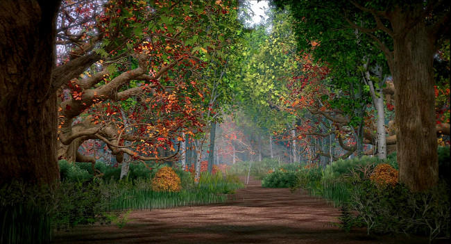Обои картинки фото рисованное, природа, деревья, растения, лес, осень
