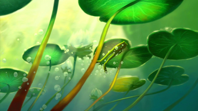 Обои картинки фото рисованное, природа, водоем, лягушка, растения