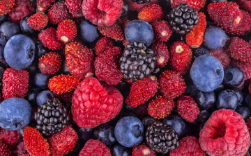 Картинка еда фрукты +ягоды земляника черника ежевика малина