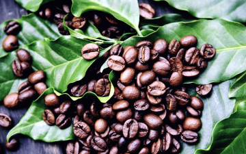 Картинка еда кофе +кофейные+зёрна листья зерна кофейные
