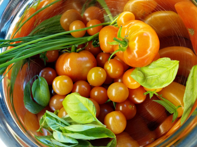 Обои картинки фото еда, помидоры, томаты, базилик