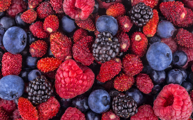 Обои картинки фото еда, фрукты,  ягоды, земляника, черника, ежевика, малина