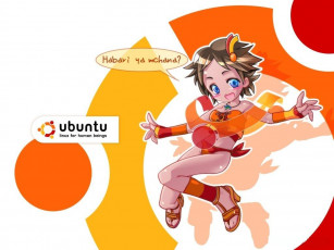 Картинка компьютеры ubuntu linux