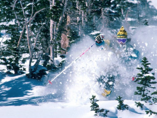 Картинка спорт лыжный
