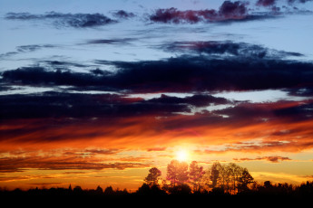 Картинка природа восходы закаты облака деревья