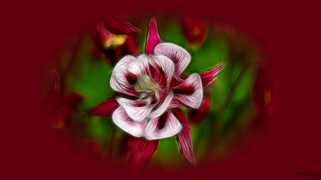 Обои картинки фото 3д, графика, flowers, цветы, фрактал, красный, цветок