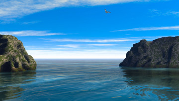 Картинка 3д графика nature landscape природа птица скалы море