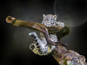 Картинка разное компьютерный дизайн photoshop коряга детёныш ирбис снежный леопард