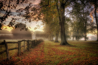 Картинка природа пейзажи осень туман забор трава деревья