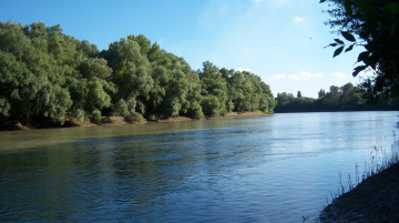Картинка природа реки озера