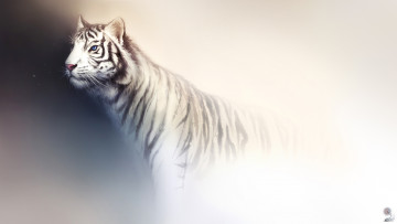 Картинка рисованные животные тигры тигр