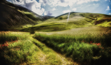 Картинка природа горы поле холмы трава цветы дорога облака