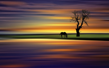 Картинка рисованные животные лошади лошадь отражение река дерево луг небо